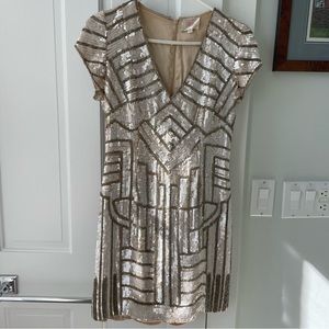 Parker Serena short sleeve sequin mini dress